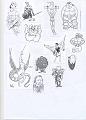 Vikinghi 046